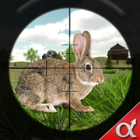 Rabbit Hunting Challenge