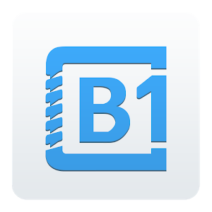 B1 File Manager