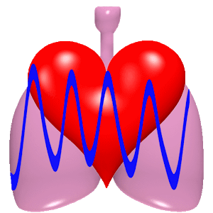 CardioRespiratory Monitor Free