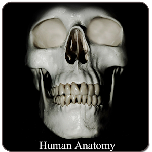 Human Anatomy (Spotting)
