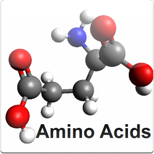 Amino Acids List
