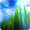 3D GRASS Live Wallpaper