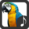 Parrot Sounds