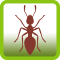 Ant Smasher Free Game