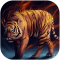 Tiger King Live HD Wallpaper