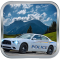 Police Car Drive 3D