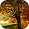 Autumn HD Live Wallpaper Pro
