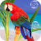 Parrots Live Wallpaper