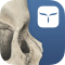 3D Skull Atlas