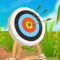 Archery Master Challenges