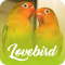 Master Kicau Lovebird Offline