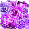 Purple rose love live wallpaper