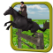 Horse Racing Adventure