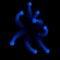Octopus OpenGL demo