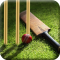Learn Cricket 2017