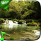 Forest Stream Live Wallpaper