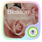 (FREE) Blossom GO Locker Theme